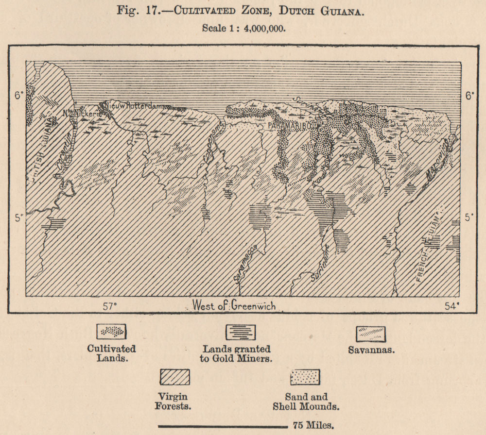 Cultivated Zone, Dutch Guyana. Suriname. Gold mines. Forests 1885 map